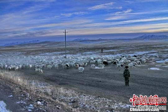 甘肃山丹马场草原上的绝美“冬日牧归图”