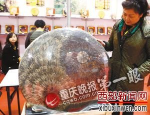 120斤普洱茶饼现身重庆茶博会