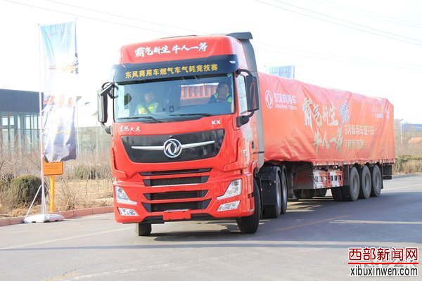 图片8.jpg